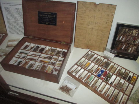 UQ Marks-Hirschfeld Museum Of Medical History - Darwin Holiday 0