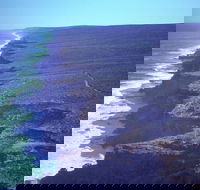 Useless Loop - Darwin Holiday