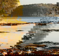 Wangi Wangi - Darwin Holiday