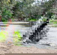 Warrandyte River Reserve - Darwin Holiday