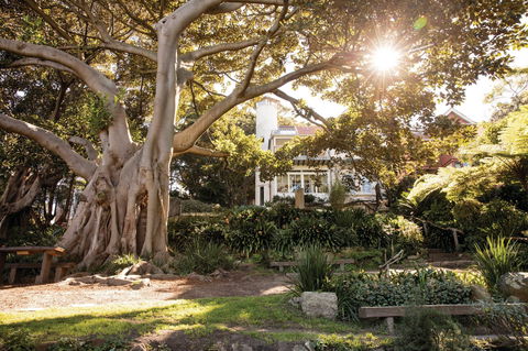 Wendy Whiteley's Secret Garden - Darwin Holiday 0