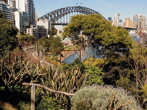 Wendy Whiteley's Secret Garden - Darwin Holiday 2