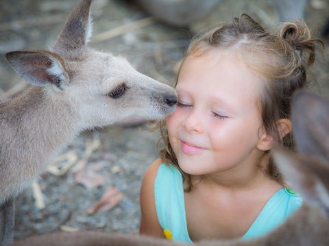 Wildlife Habitat - Darwin Holiday 1