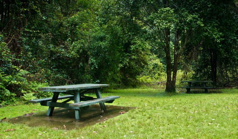 Williams River Picnic Area - Darwin Holiday 0