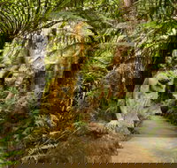 William Ricketts Sanctuary - Darwin Holiday