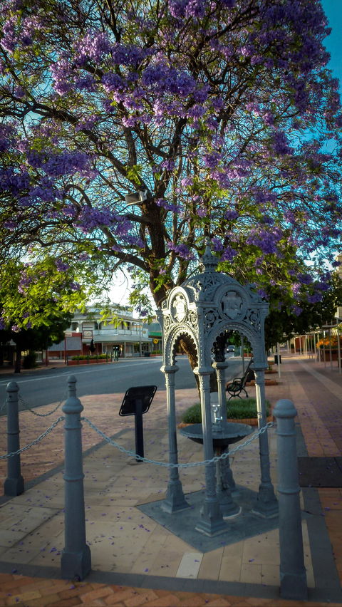 Witcombe Fountain - Darwin Holiday 0
