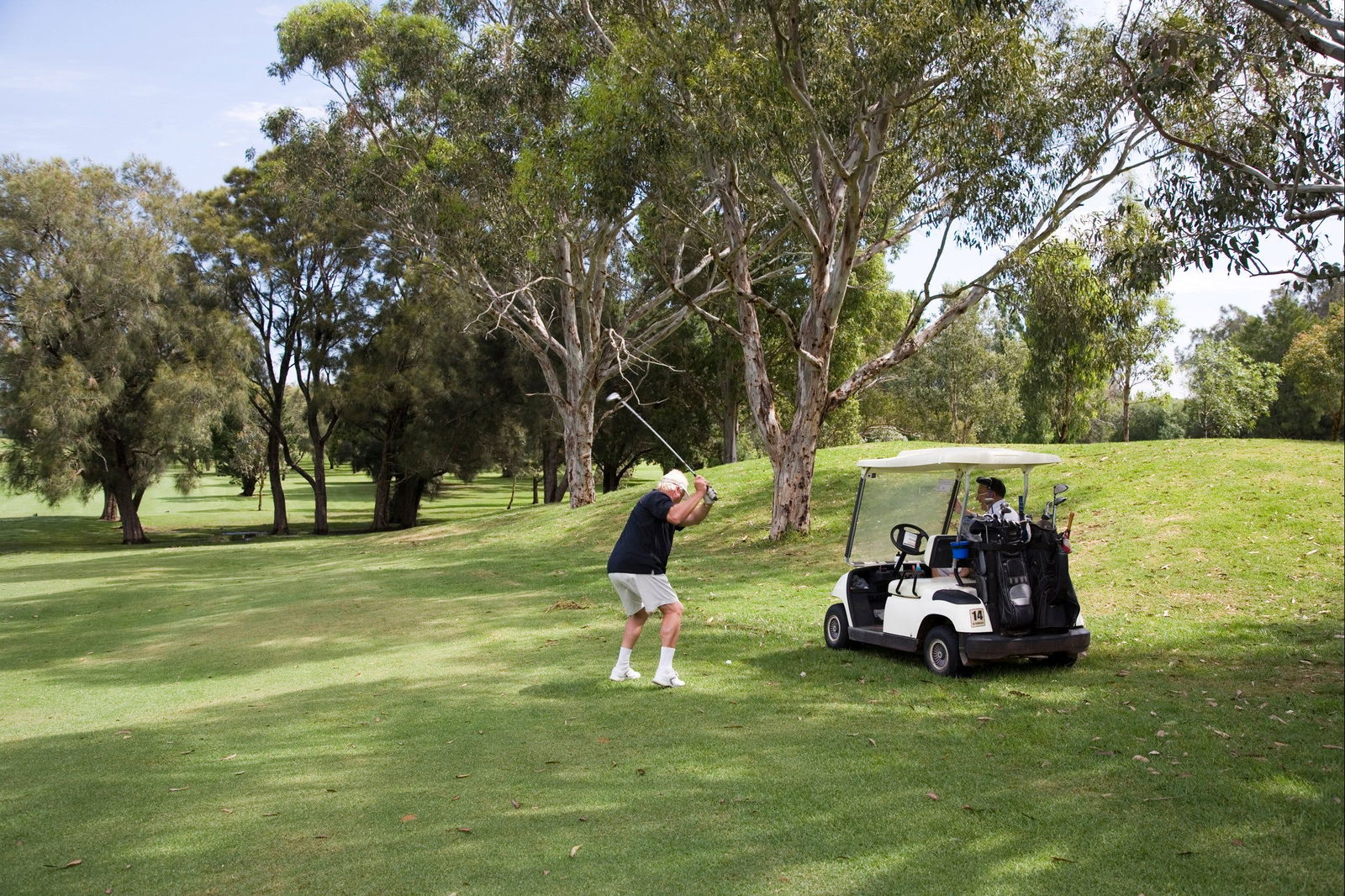 Sutherland Shire NSW Darwin Holiday