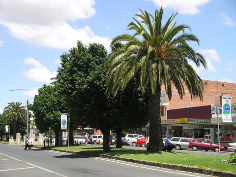 Yarram Historical Society - Darwin Holiday 0