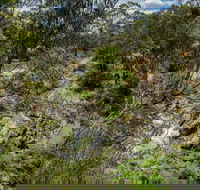 Yarrambat Park - Darwin Holiday