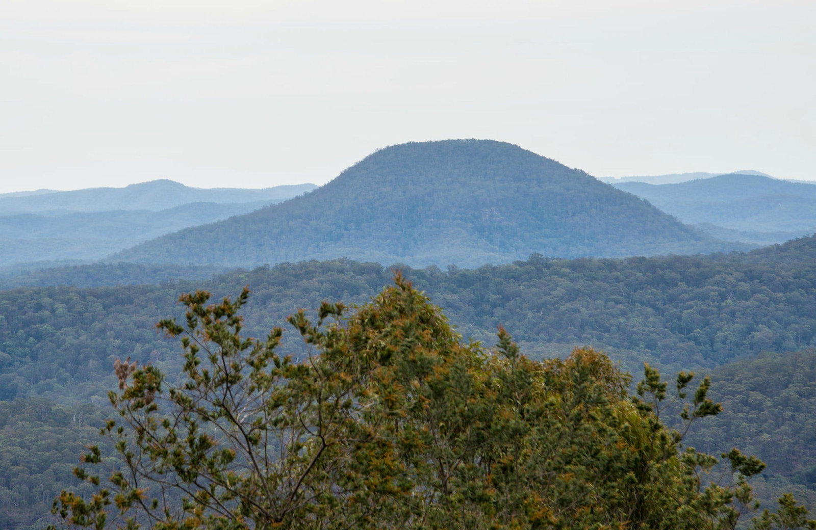 Greta Main NSW Darwin Holiday