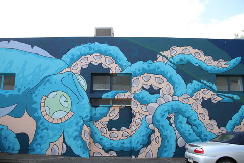 Adelaide Fringe Street Art Explosion - Darwin Holiday 2