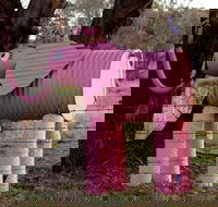 Animals on Bikes - Darwin Holiday