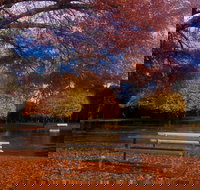 Bells Parade Reserve - Darwin Holiday