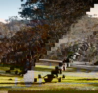 Blayney Golf Club - Darwin Holiday