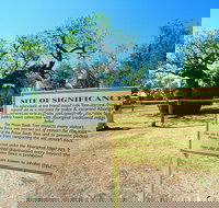 Boab Prison Tree - Darwin Holiday