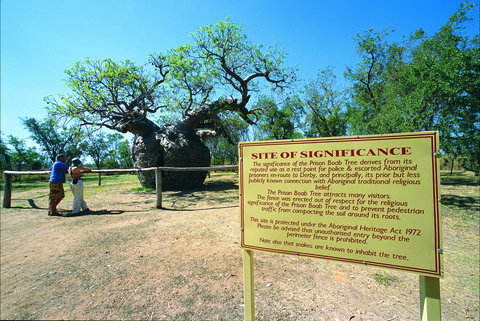 Boab Prison Tree - Darwin Holiday 0