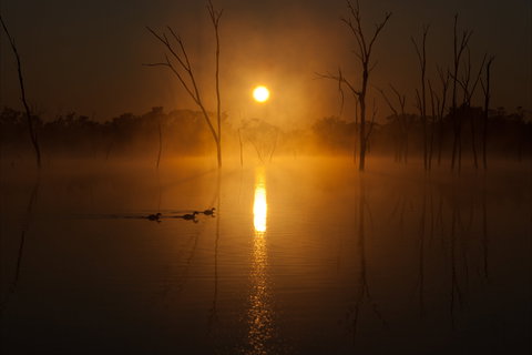 Boshack Outback - Darwin Holiday 1