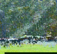 Boyanup - Darwin Holiday