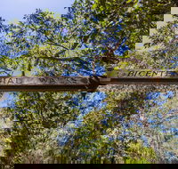 Bribie Island Bicentennial Trails - Darwin Holiday