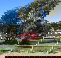 Bute - Darwin Holiday