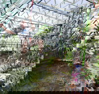 Cairns ZOOM and Wildlife Dome - Darwin Holiday