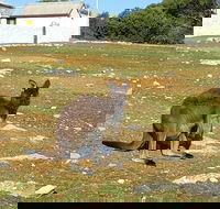 Cape Borda Lightstation - Flinders Chase National Park - Darwin Holiday