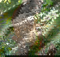 Caversham Wildlife Park - Darwin Holiday