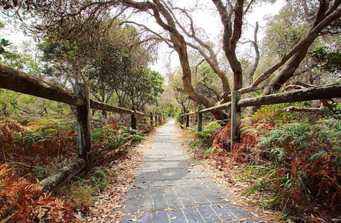 Chinamans Beach Evans Head - Darwin Holiday 1