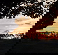 Dangar's Lagoon and Racecourse Lagoon - Darwin Holiday