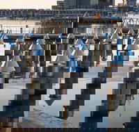 Docklands - Darwin Holiday