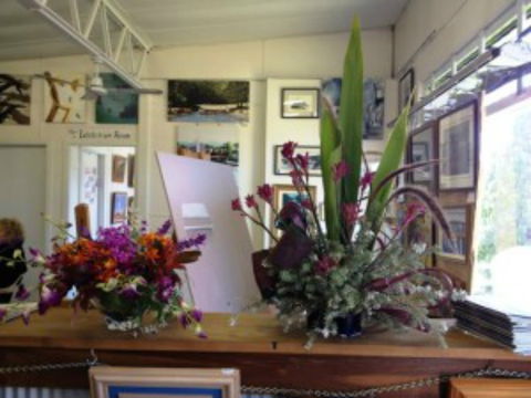 Dungog Arts Society - Darwin Holiday 0