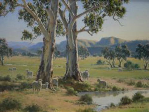 Dungog Arts Society - Darwin Holiday 1