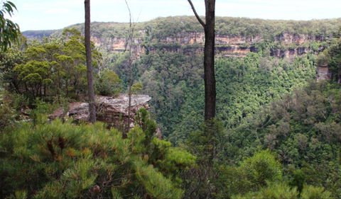 East Rim Wildflower Walking Track - Darwin Holiday 0