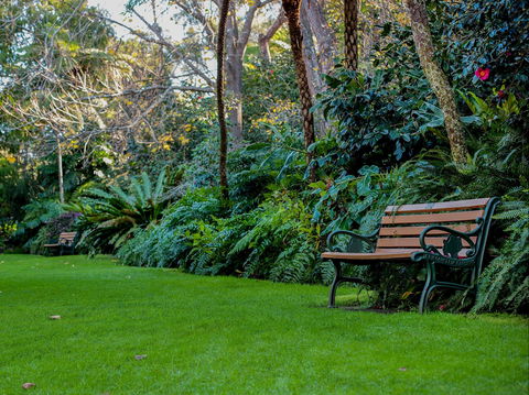 EG Waterhouse National Camellia Gardens - Darwin Holiday 0