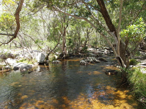Emerald Creek, Dinden West Forest Reserve - Darwin Holiday 1