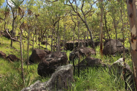 Emerald Creek, Dinden West Forest Reserve - Darwin Holiday 2
