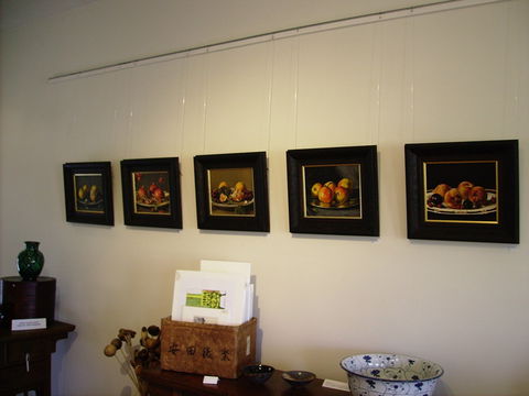 Falkner Gallery - Darwin Holiday 0