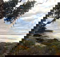 Fish Cannery Walking Trail - Darwin Holiday