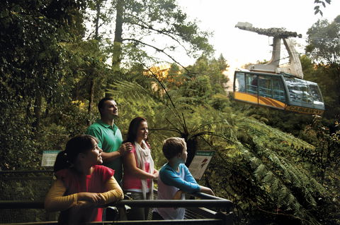 Furber Steps - Darwin Holiday 0