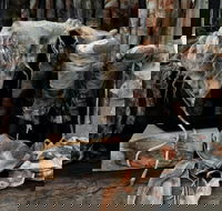 Geckostrands Textile Artist - Darwin Holiday