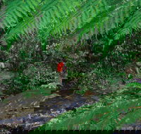 Goldsborough Valley Wooroonooran National Park - Darwin Holiday