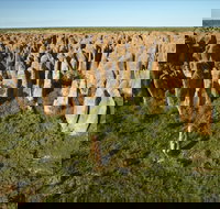 Gulf Region - Darwin Holiday