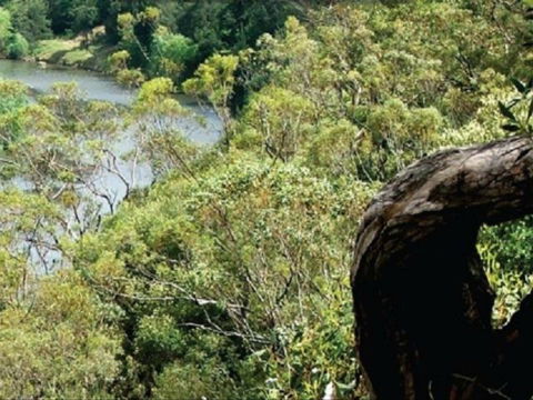 Heuston Lookout - Darwin Holiday 0