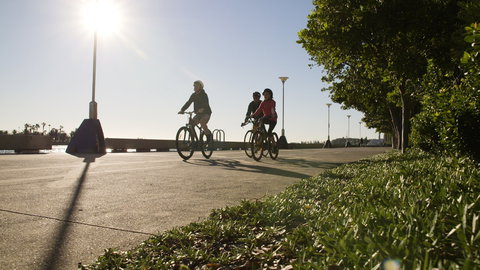 Honeysuckle - Darwin Holiday 2