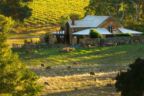 Hutton Vale Farm - Darwin Holiday 1