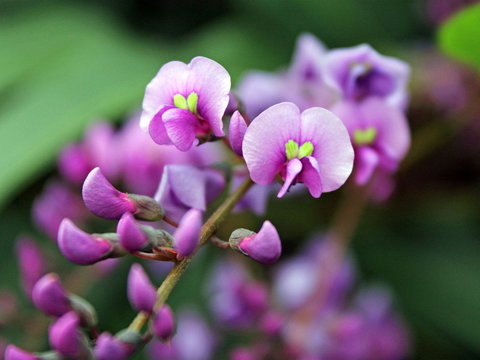 Inverawe Native Gardens - Darwin Holiday 2