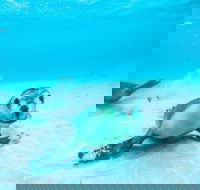 Jurien Bay - Darwin Holiday
