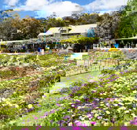 Kate's Berry Farm - Darwin Holiday