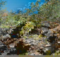 Kroombit Tops National Park - Darwin Holiday