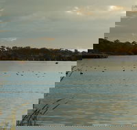 Lake Inverell Reserve - Darwin Holiday